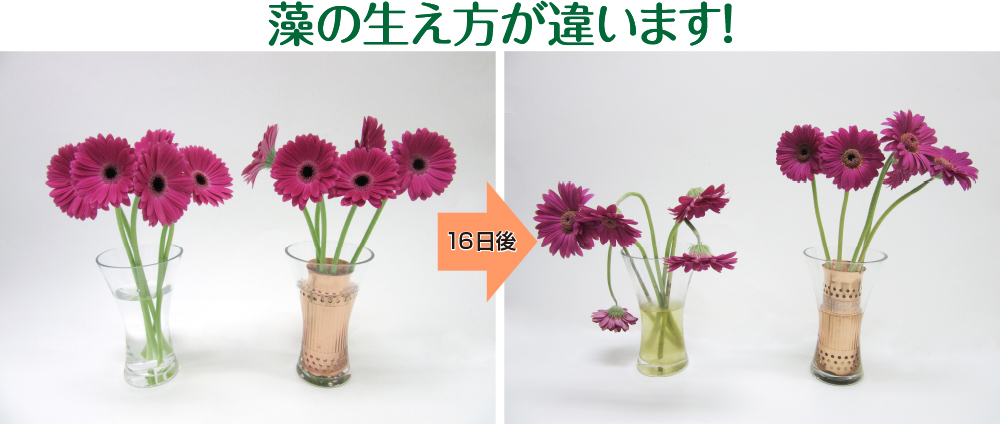 花喜銅 | 生花用品、園芸用品、銅製品｜有限会社コーヨー 無骨な